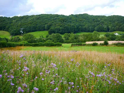 Як правильно дихати для зниження стресу