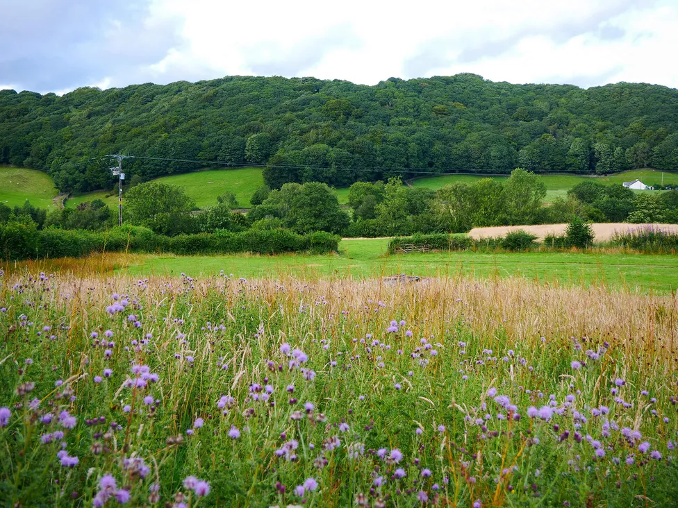 Як правильно дихати для зниження стресу